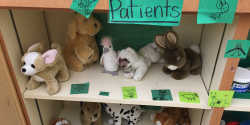 a make believe veterinarian playset with stuffed animals