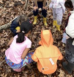 Children learning together in the woods