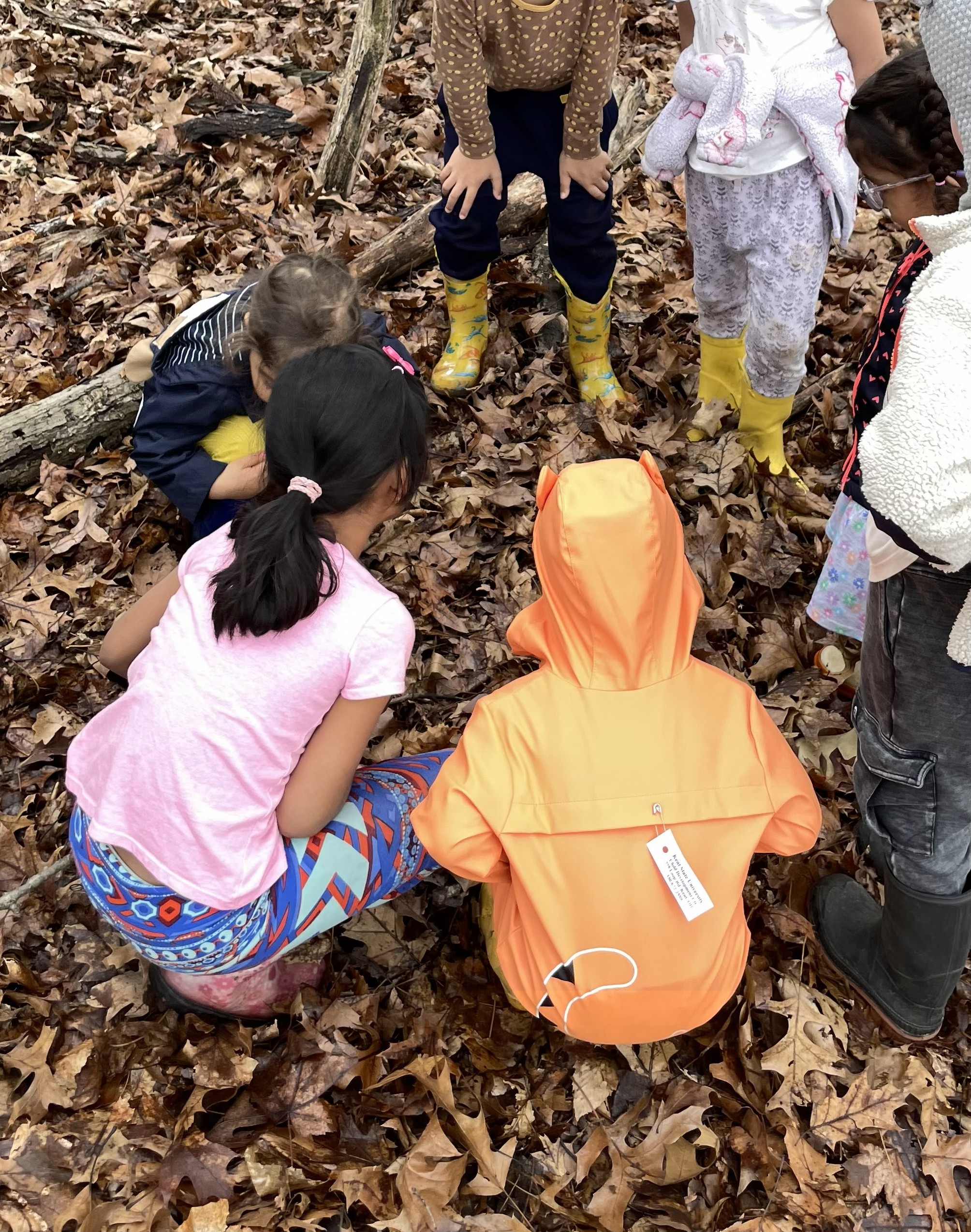 Students gathered around a pile of leaves in the woods