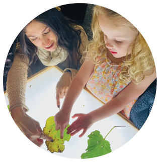 A teacher and child examining a leaf on a light table